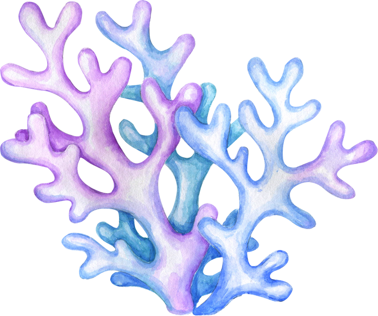 Watercolor Corals Illustration